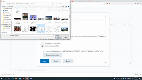 Using "Insert Image" button in Canvas