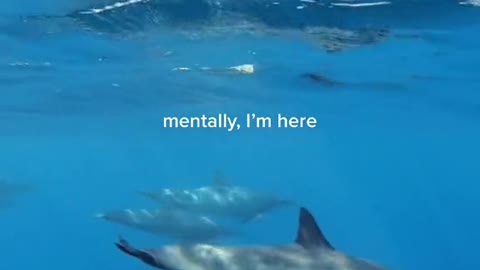 mentally, I'm here