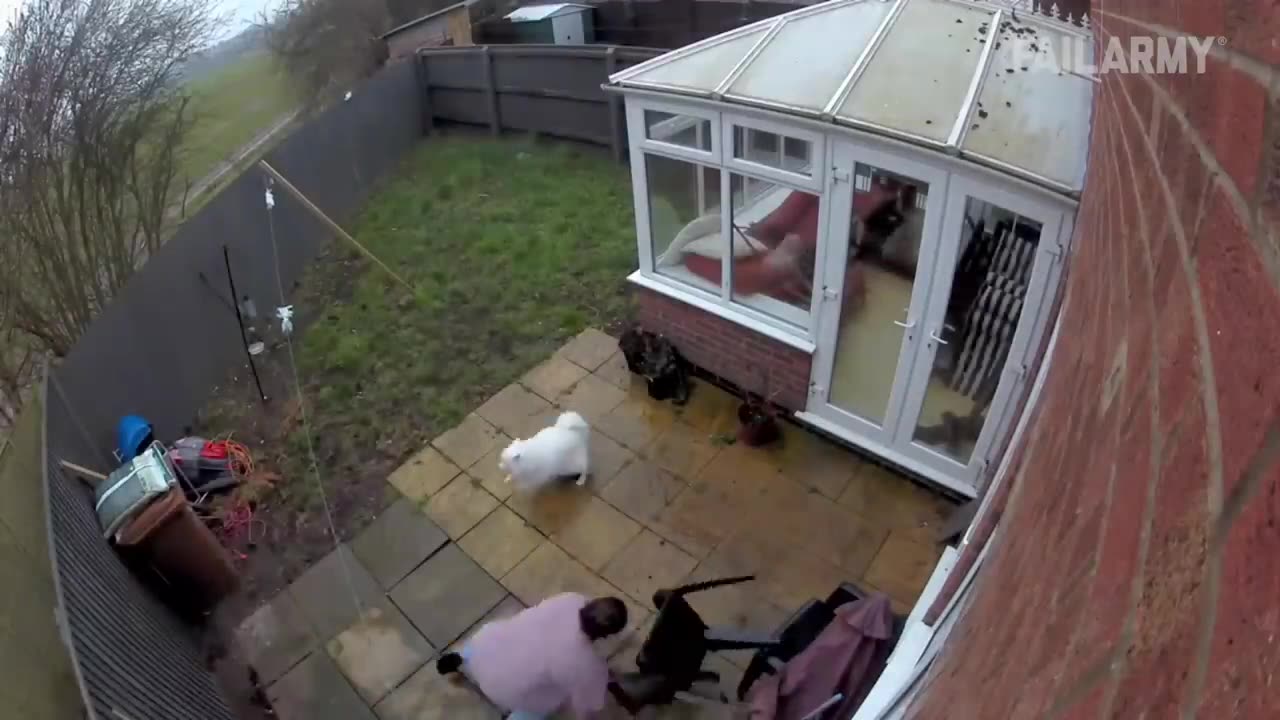 Outrageous CCTV Fails