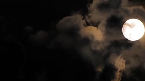 5 Scary Ghost Videos You WON_T Watch FULL SCREEN