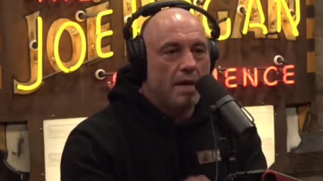 The Joe Rogan Experience Episode 1919 - Bret Weinstein