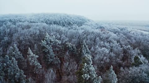 Beautiful mountains, rivers, streams and flowers and trees on the earth.