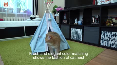 Tent cat nest