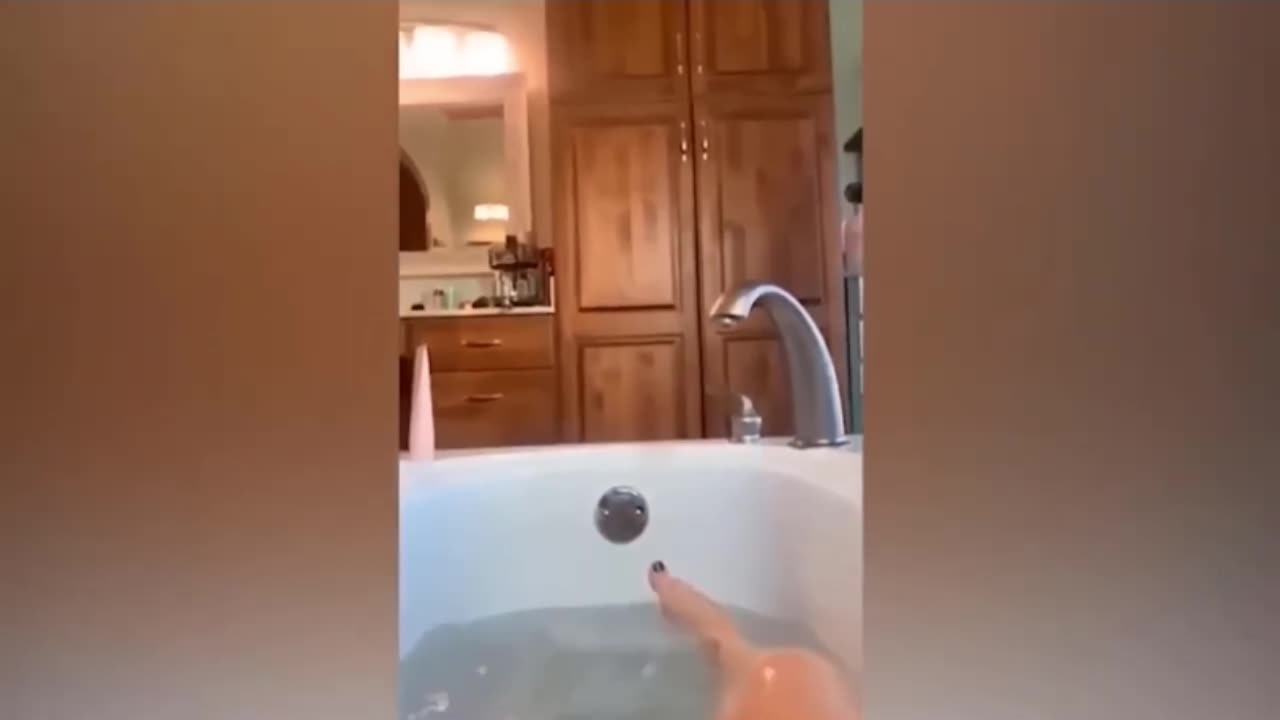 Hilarious cats๐๐บ๐บ๐