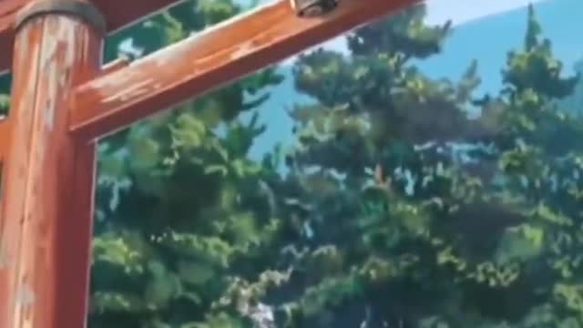 Your name HD clip