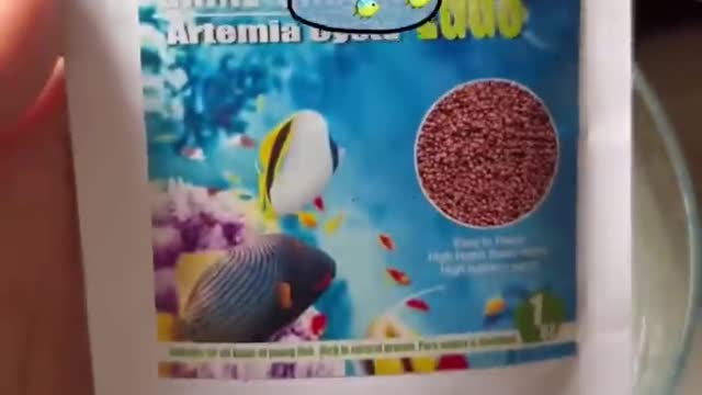 Why would a Fish abort its own Babies? 🤰