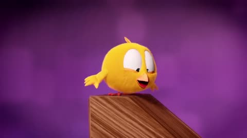 Where's Chicky Funny Chicky 2020 - HAVE TO CHOOSE A SPORT - Chicky Cartoon in English for Kids