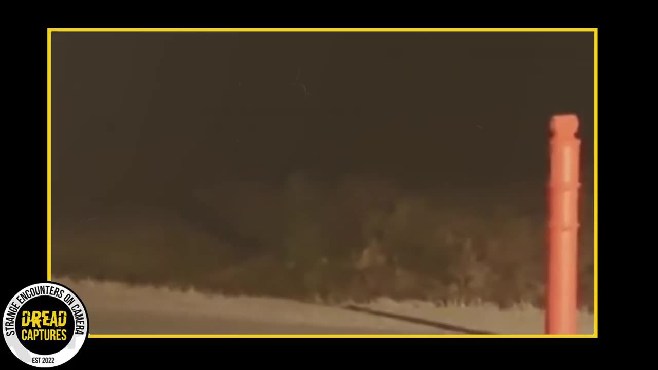 SHOCKING MOMENTS CAPTURED ON TRAILCAM