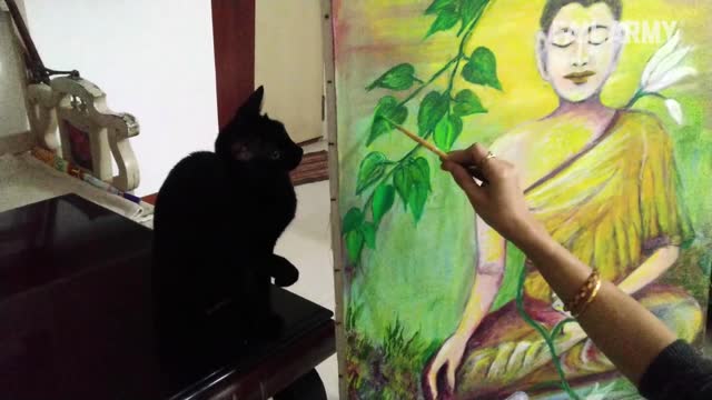 Funny Cat Fails