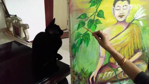 Funny Cat Fails