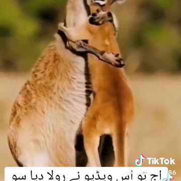 Love of mother must see 2024