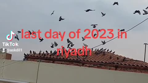 Last day of 2023 in riyadh