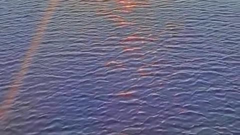 #sunset #scene #lake #thesurfaceofthelake #reflection #foryou #tiktok #beauty