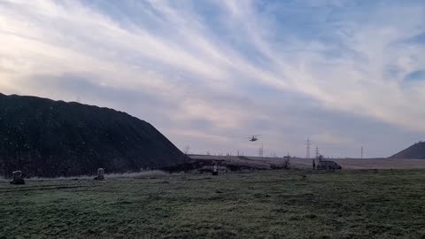 Meeting of best friends - royal wolves and Russian alligators