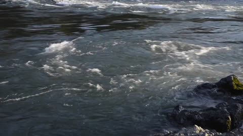 Tired of life, always want some gentle dream.