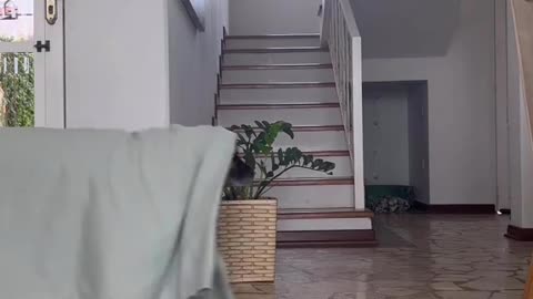 Ghost caught on camera! 🤣