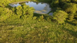 Rural pond