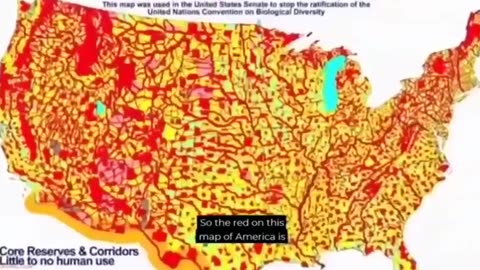 Iconic David Icke on Agenda 21