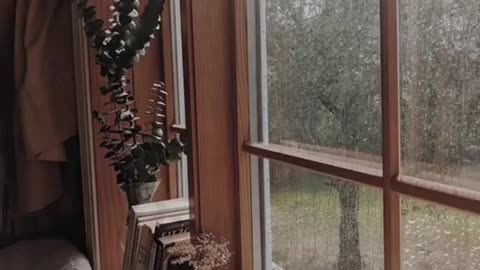 Morning Rain View in Window