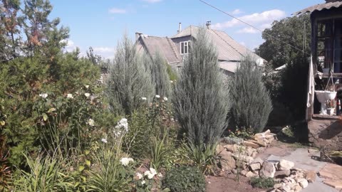 Garden on a sunny day