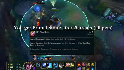 Pets + New Smites! Preseason 13 - Jungle Changes Presentation!