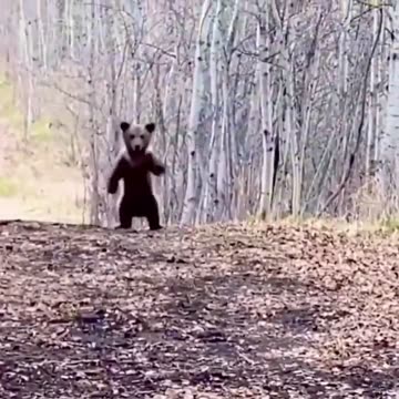 CUTEST video of the week!!!!