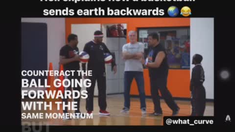 Professional Bullshitter