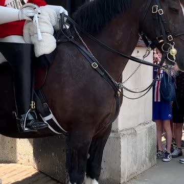 When You Have The Most Serious Job On The Planet But Your Pet Does Not