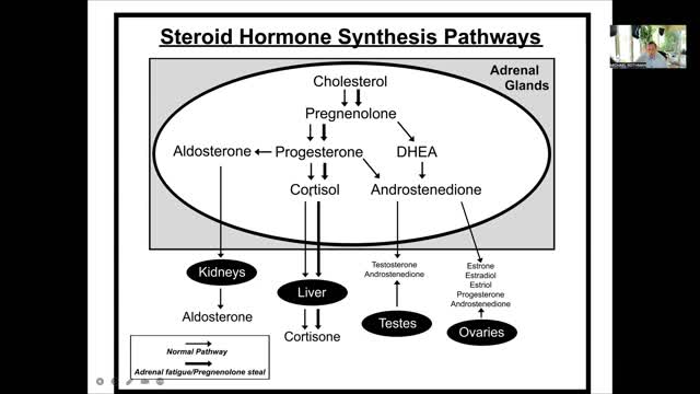 The benefits of Progesterone