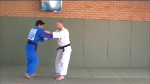 Judo techniques