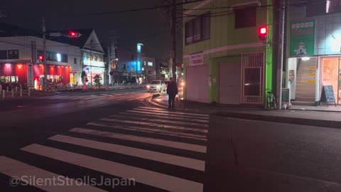 Japan Enchanting Evening Walking Tour