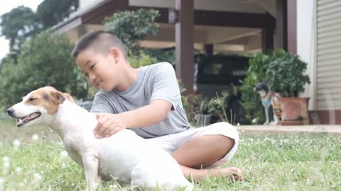A dog smiling at a young boy as he plays his head