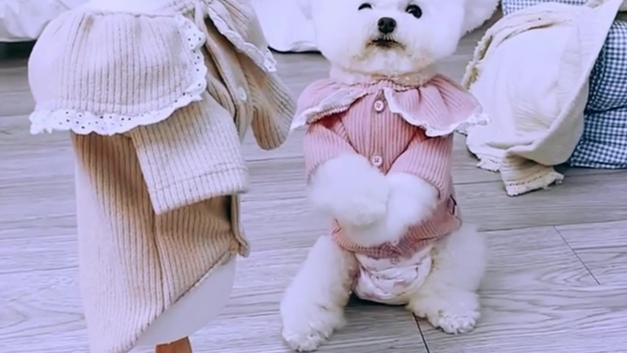 Cute baby dog trainer