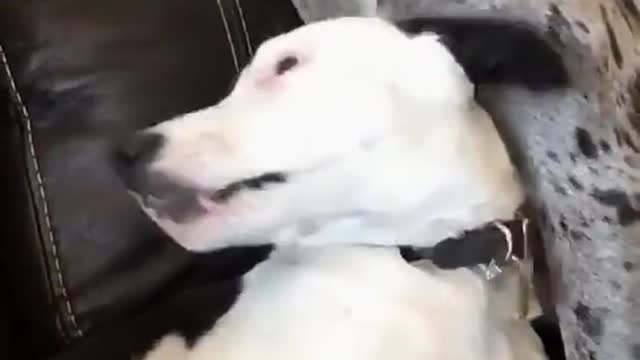 Wait for it...