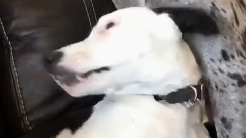 Wait for it...