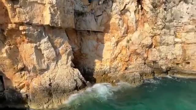 Can't resist jumping in