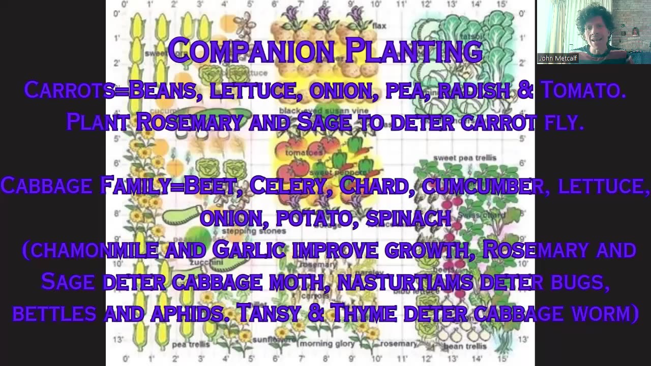 Permaculture|A Regenerative Mindset|Polycultures