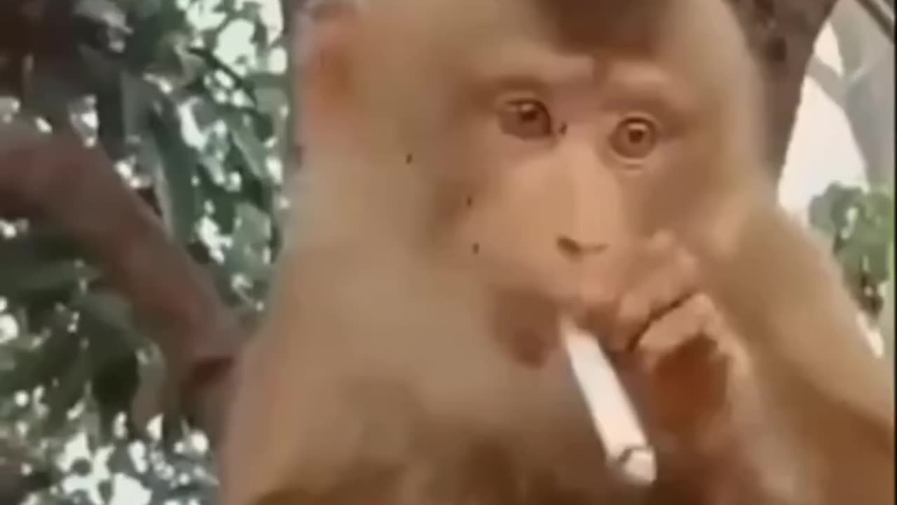 Banda cigaret Pi raha hai