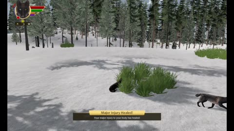 WolfQuest persistant packs update 07