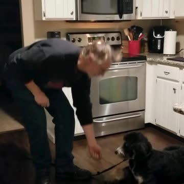 Roxy countersurfing clip 4