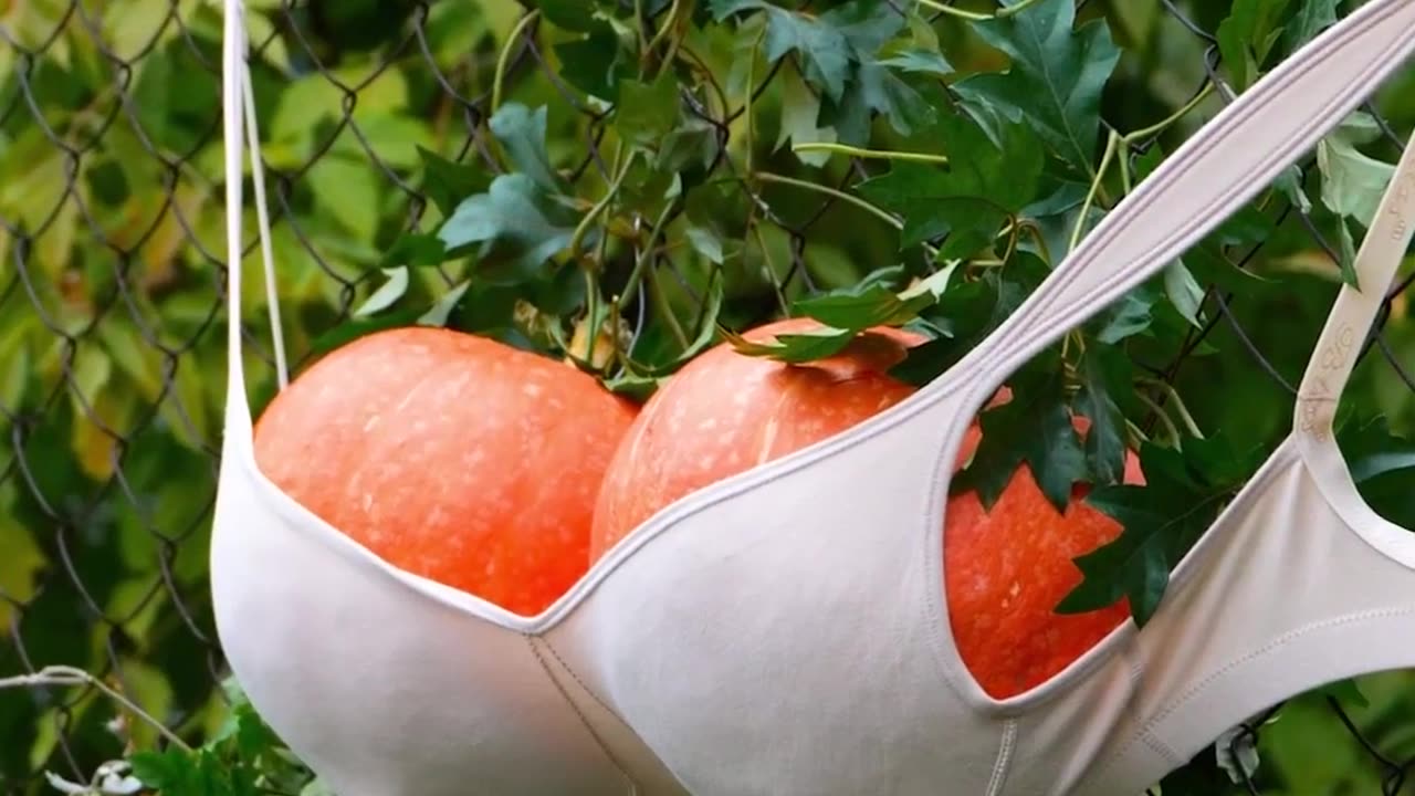 WE TELL YOU THE BEST GARDENING SECRETS TO KNOW