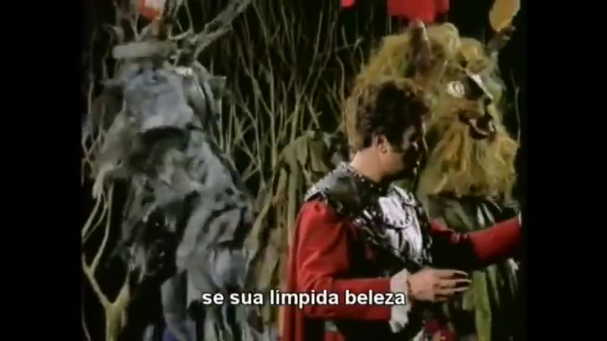 A Ópera Maçônica de Mozart A Flauta Mágica