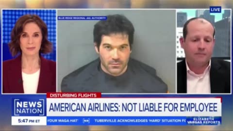 The American Airlines Pedophile