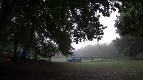 Early morning. Paid campsite. Misty. Timelapse