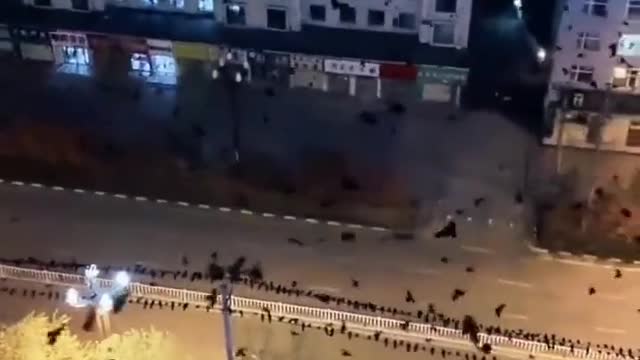 China: Hundreds of crows invade the city of Lanzhou!