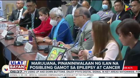 Ligal na paggamit ng cannabis o marijuana para sa medical use, isinusulong sa Senado