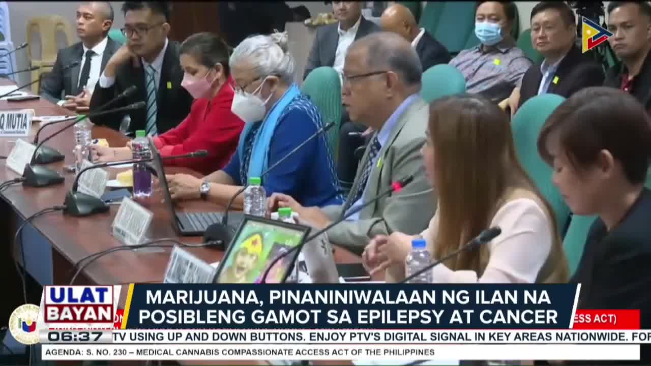 Ligal na paggamit ng cannabis o marijuana para sa medical use, isinusulong sa Senado