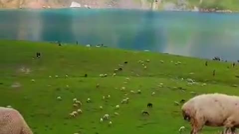 # love natrue enjoy nature# neelum velly ajk lake