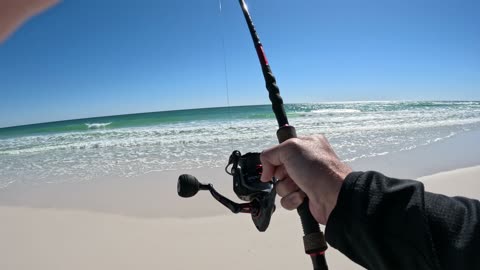 Navarre Beach Monster!