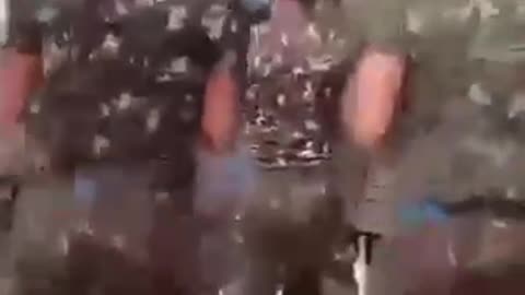 Estratégia de Sabedoria, Brasil...